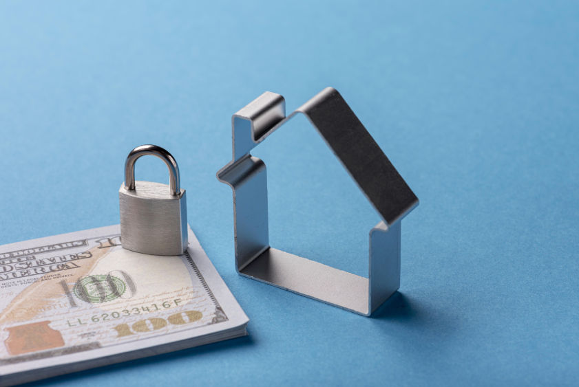 Protect Your Income with Mega finance